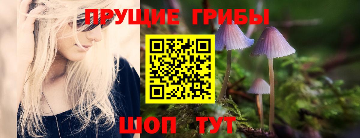 Заводоуковск  Псилоцибиновые грибы Psilocybine cubensis  Псилоцибиновые грибы Psilocybine cubensis  Вход с VPN 